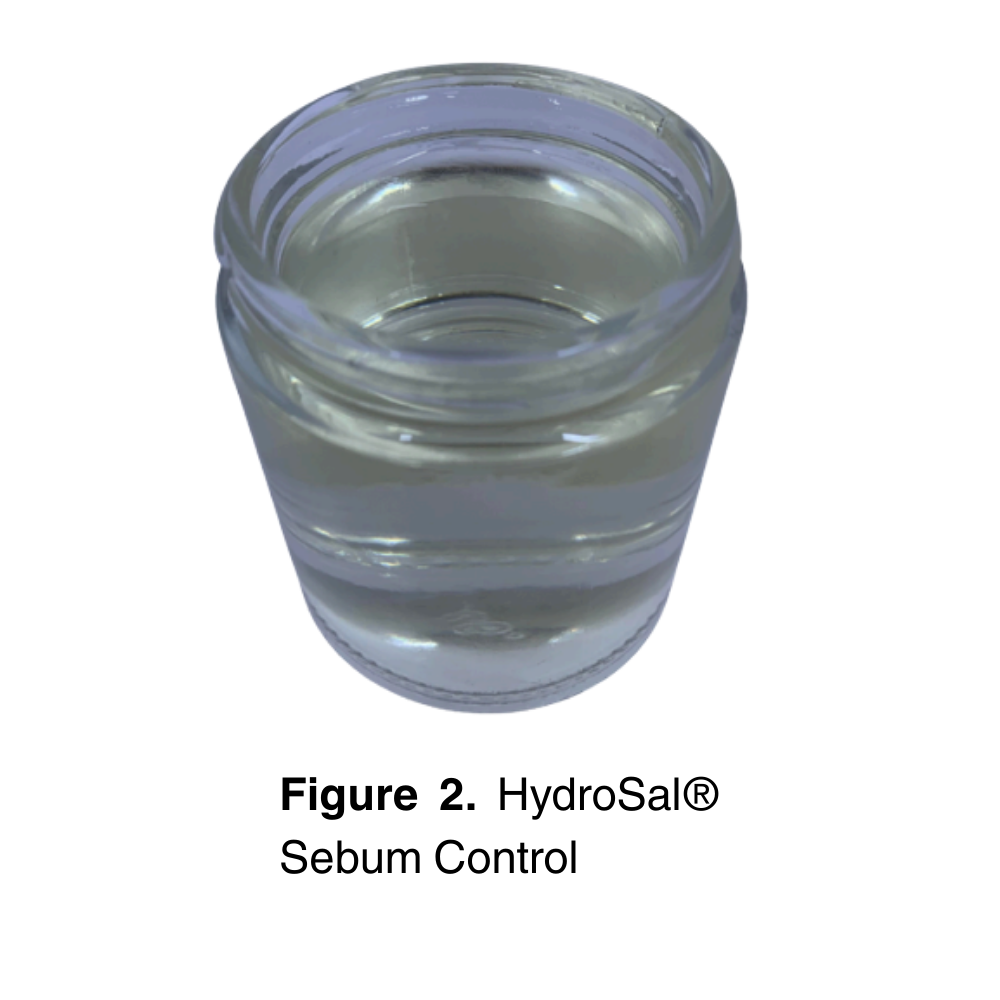 HydroSal® Sebum Control