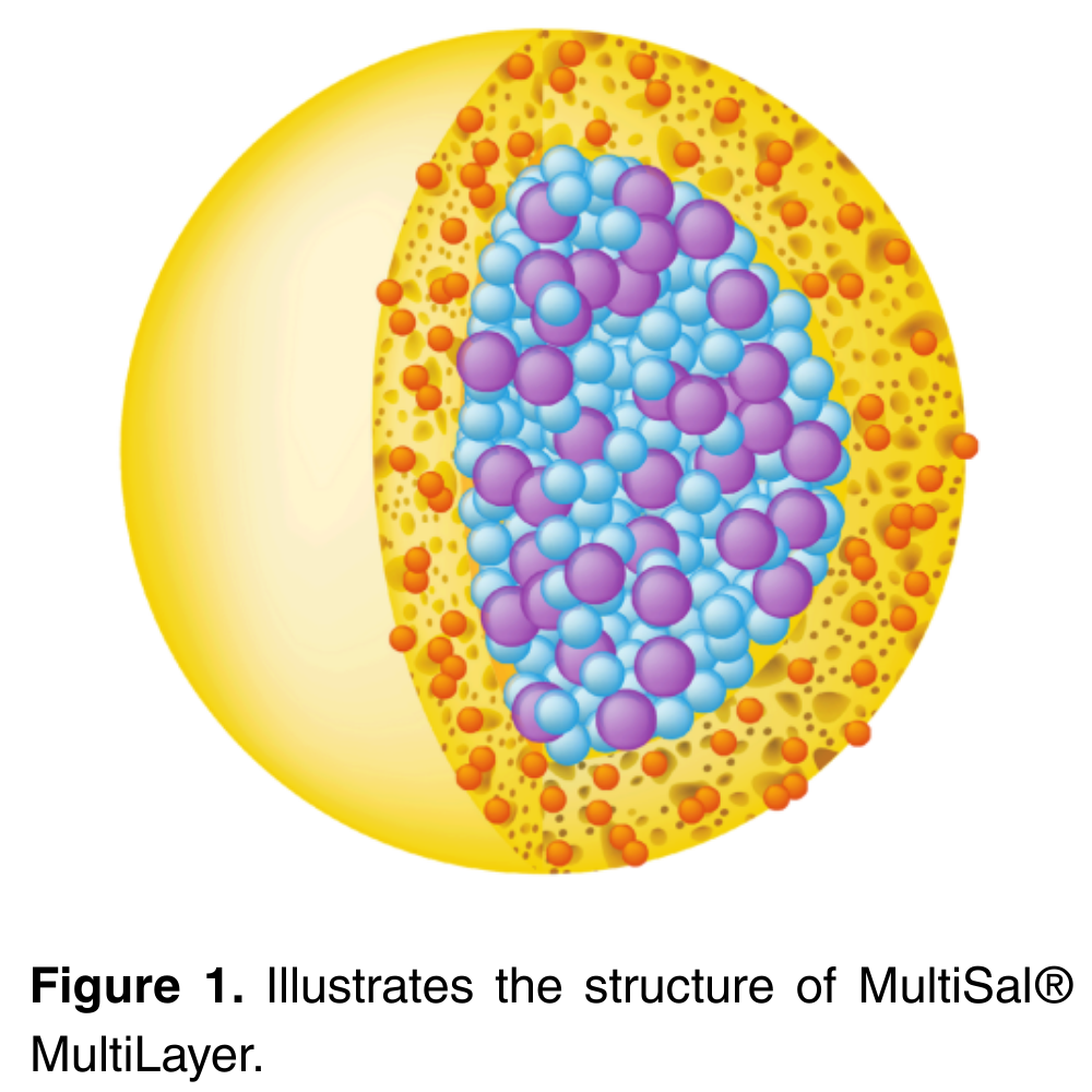 MultiSal®  MultiLayer