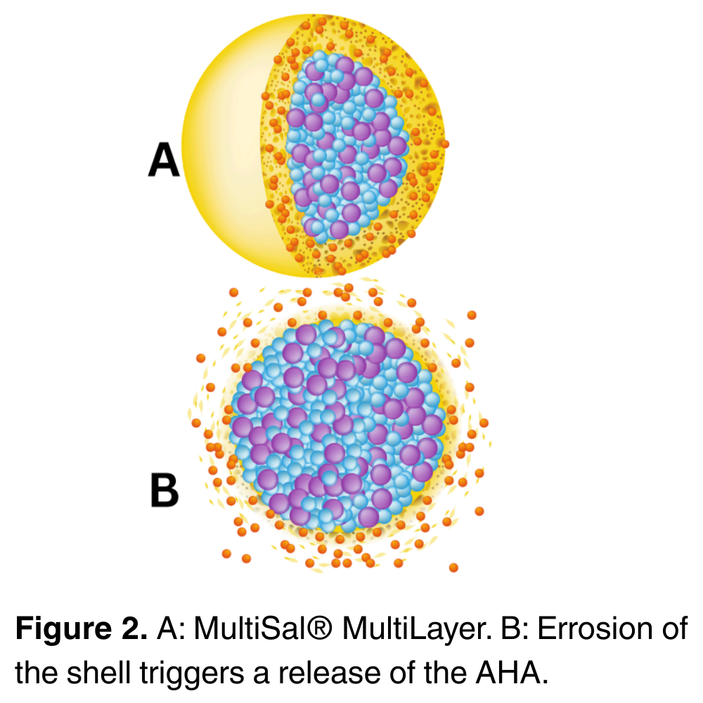 MultiSal®  MultiLayer