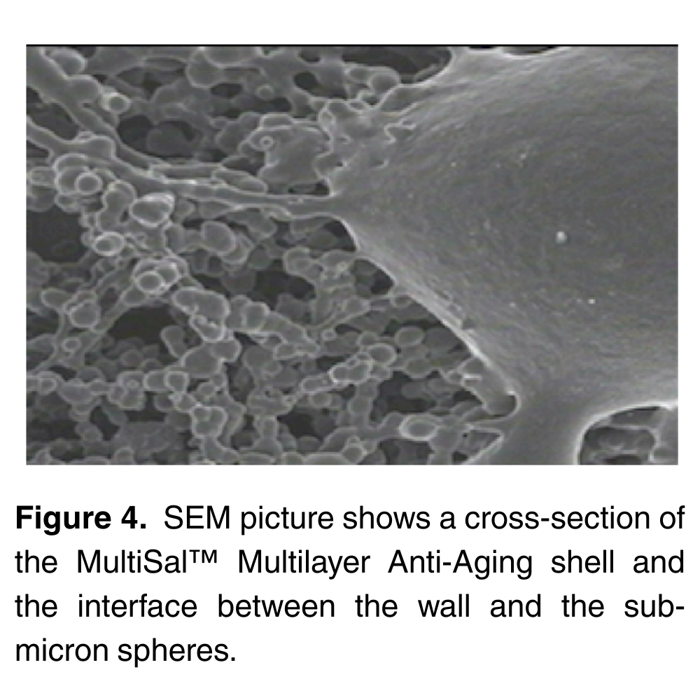 MultiSal®  MultiLayer