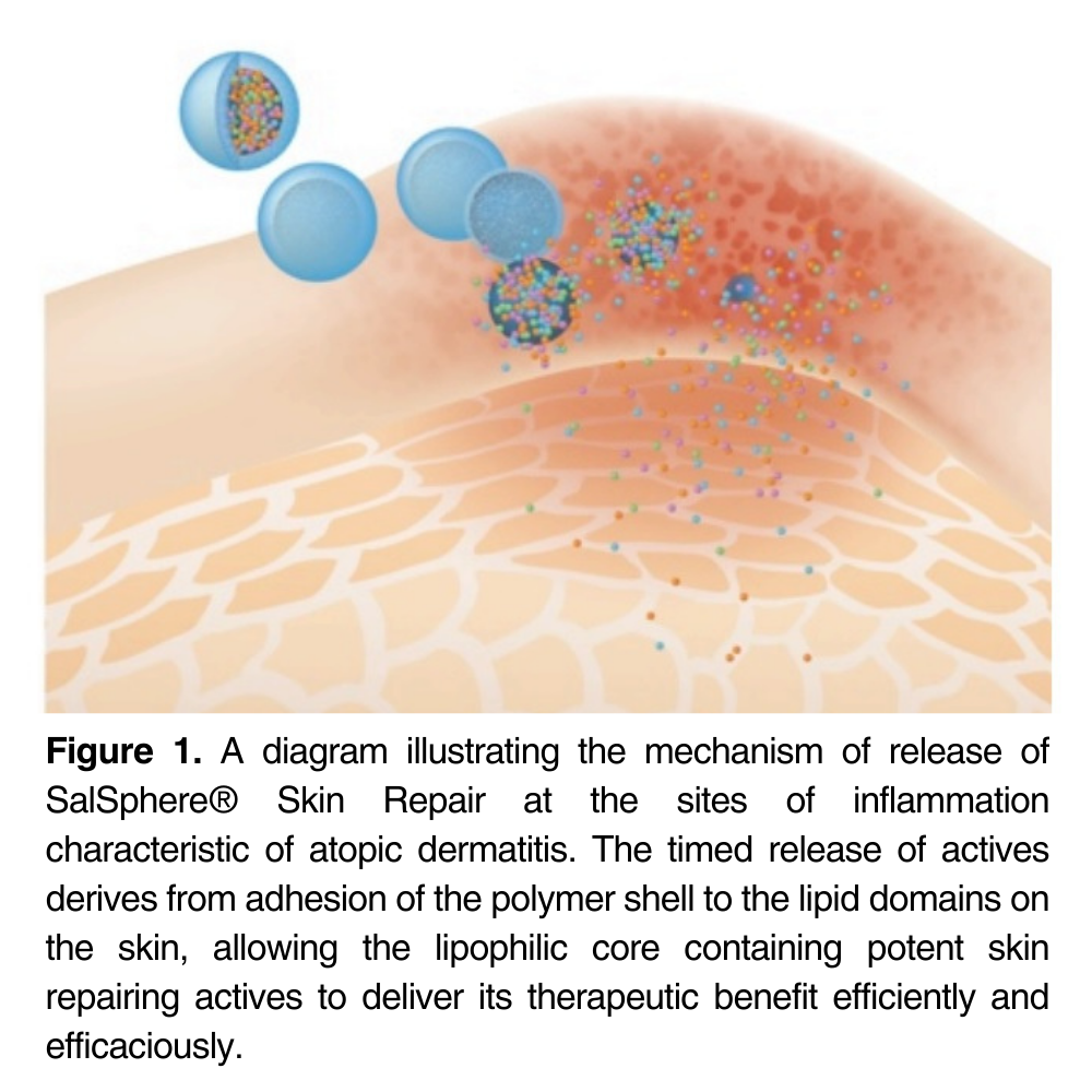 SalSphere® Skin Repair
