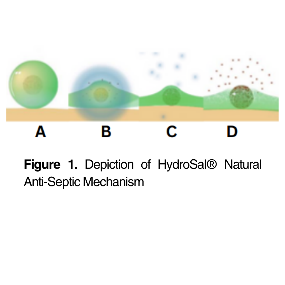 HydroSal® Natural Antiseptic