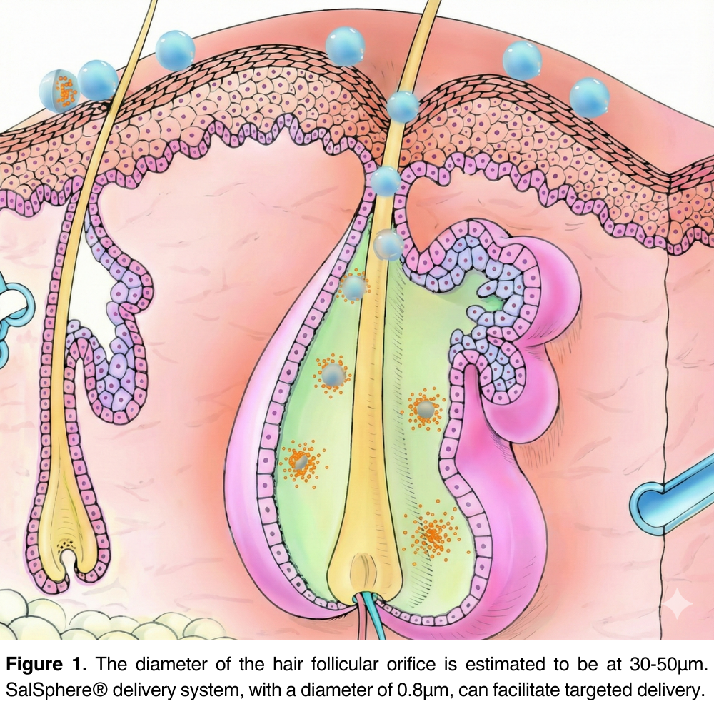 SalSphere® Hair Stimulator