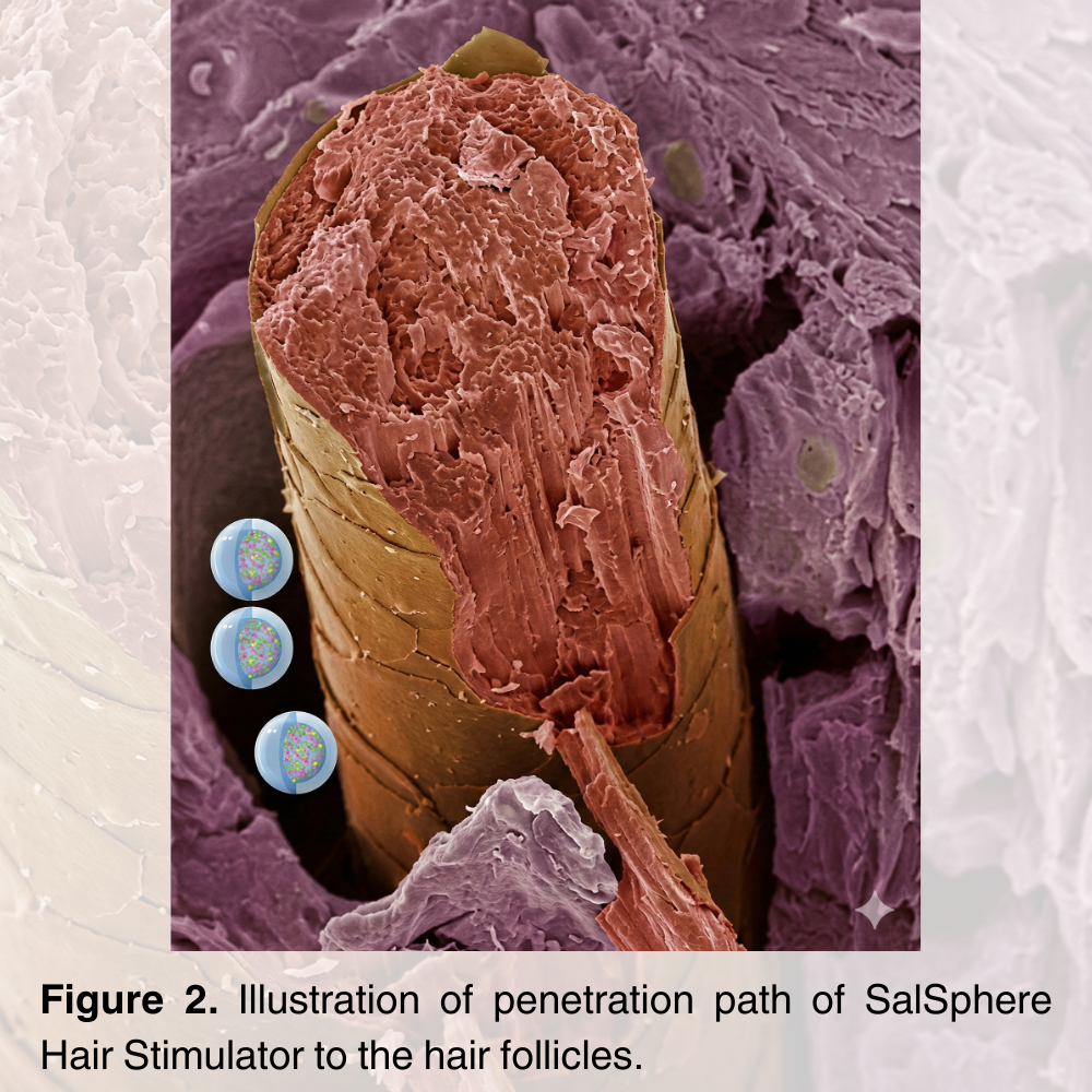 SalSphere® Hair Stimulator