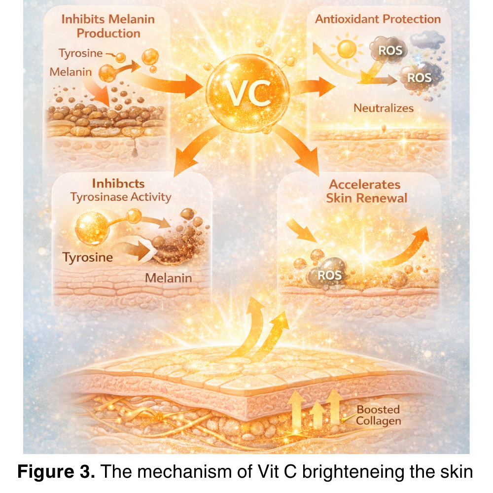 MultiSal® Vitamin C