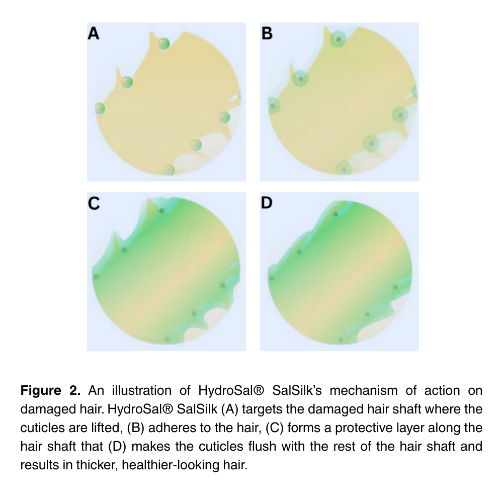 HydroSal® SalSilk