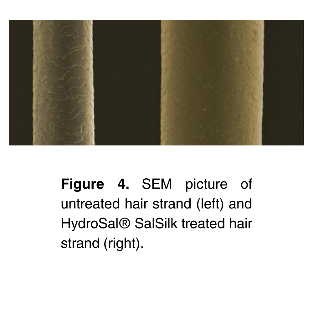 HydroSal® SalSilk