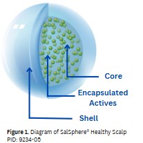 SalSphere® Healthy Scalp