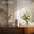 Before and after comparison of a living room setup with SalScent product.
